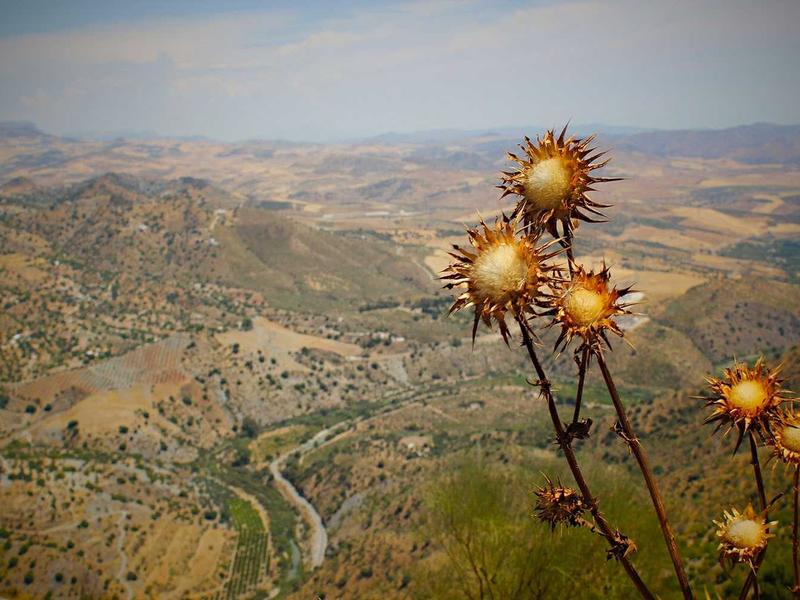 Mısır Çarşısı (Baharat Çarşısı)